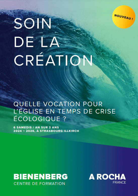 Formation : quelle vocation pour l’Église en temps de crise écologique ? (67)